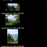 Catalog