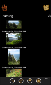 Catalog